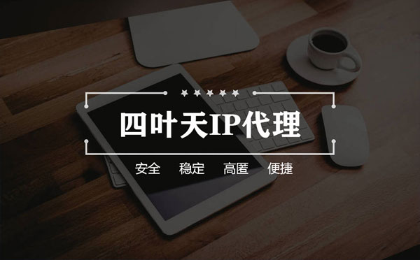 【安顺代理IP】如何快速搭建代理IP？怎么检查代理的效果？